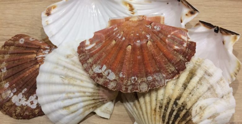 N'oublie pas que tu peux laver les coquilles et les chapeaux pour faire des décorations, ou des petites assiettes pour présenter des verrines par exemple !