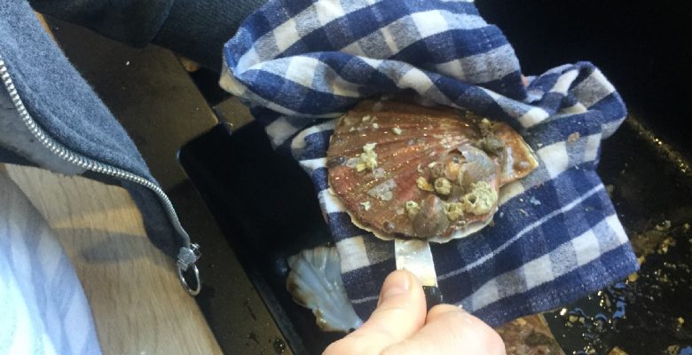 Tiens fermement la coquille avec un torchon et rentre la lame du couteau par un côté dans un trou