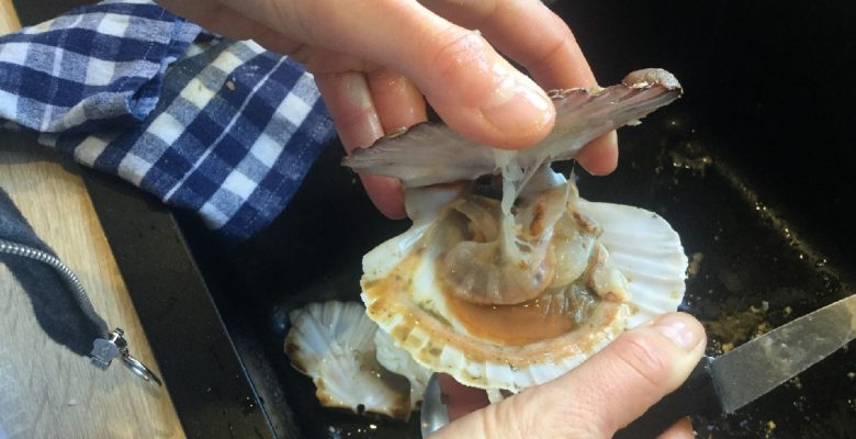 Tu dois maintenant pouvoir soulever le chapeau et ouvrir la coquille