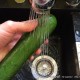 Cuisson des courgettes au micro-ondes | TA recette facile