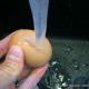 Étape pour : oeuf-mollet-005
