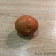 Étape pour : oeuf-mollet-006