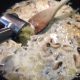 Étape pour : Recette de la blanquette de poisson-011