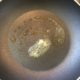 Étape pour : Recette des pancakes à la banane diététiques (9)