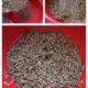 Étape pour : Recette des saucisses aux lentilles au four (5)