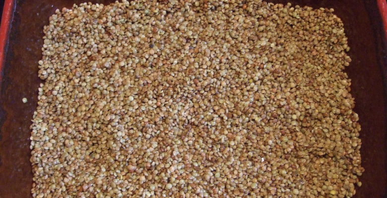 Dépose les lentilles au fond d'un plat allant au four.