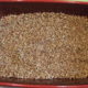 Étape pour : Recette des saucisses aux lentilles au four (6)